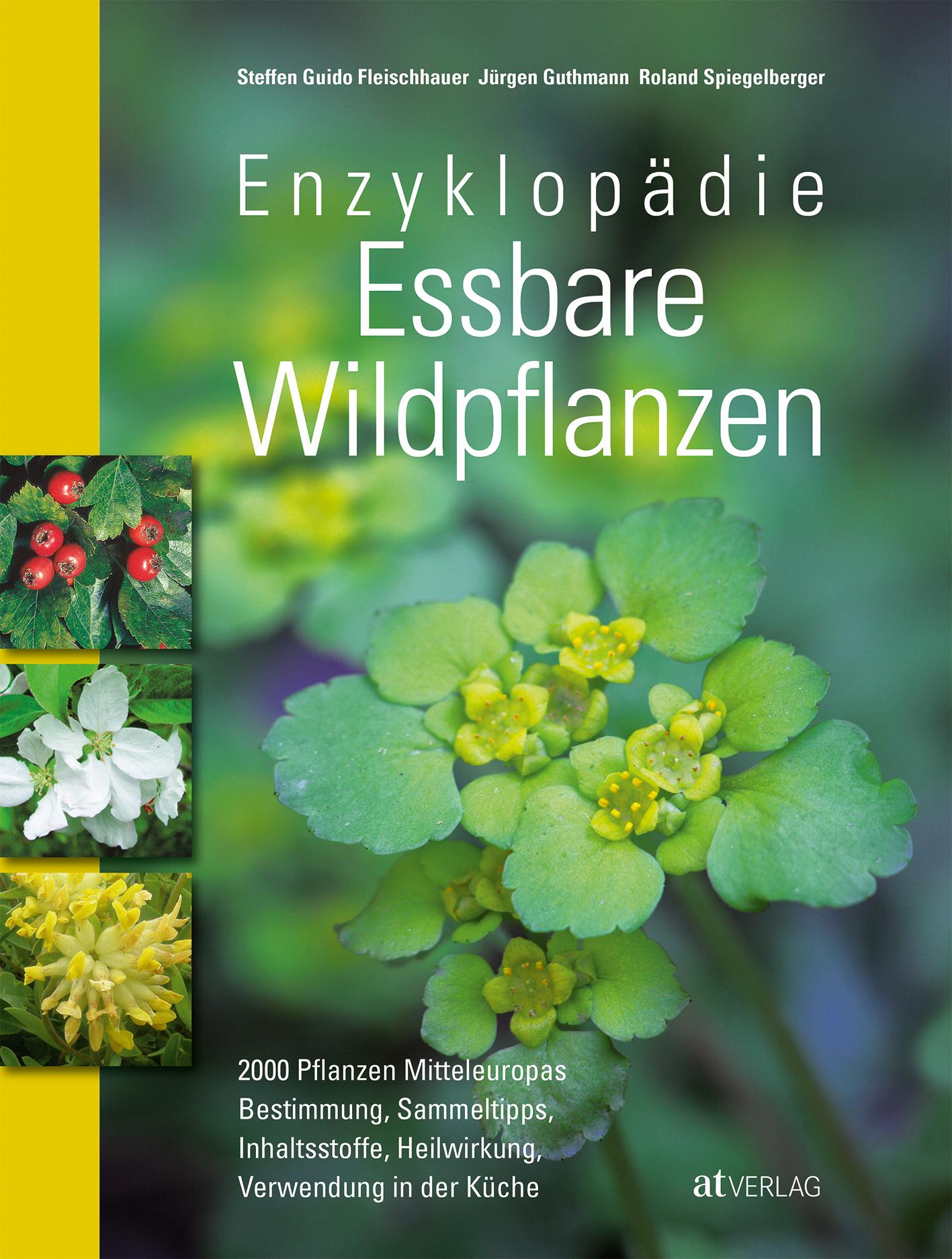 Enzyklopädie essbare Wildpflanzen 2000 Pflanzen Mitteleuropas. Bestimmung, Sammeltipps, Inhaltsstoffe, Heilwirkung, Verwendung in der Küche