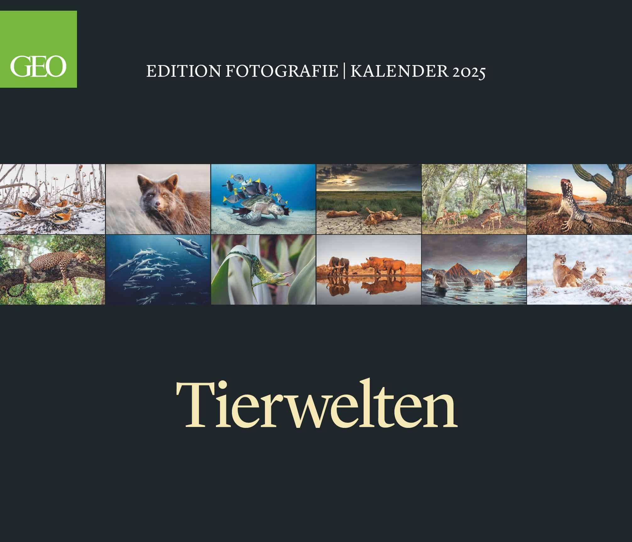 GEO Edition - Tierwelten Wandkalender 2025 - Beeindruckender Kalender für Tierfotografie, Großformat 70x60 cm, mit Einzigartigen Aufnahmen aus der Tierwelt Maße (B/H): 70 x 60 cm, Fotokalender