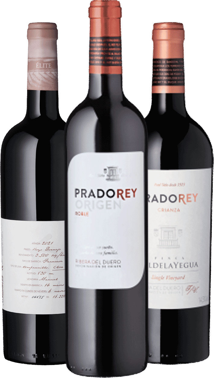Weinpaket 6er Set | Ribero Reserva