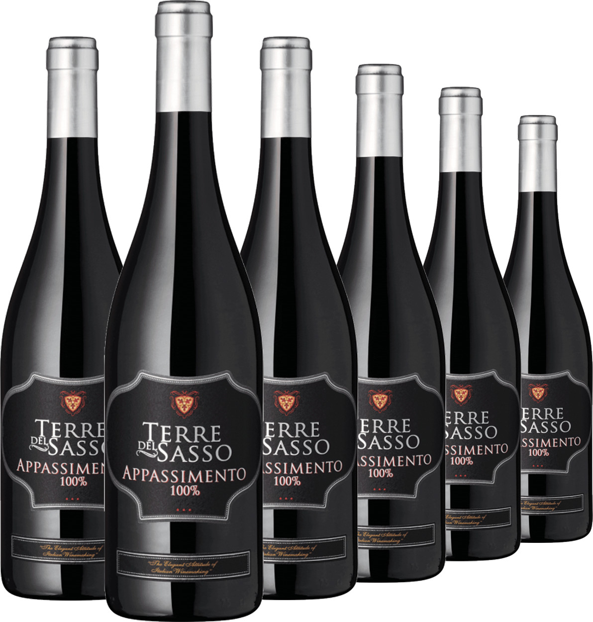 Weinpaket "Terre del Sasso" Negroamaro Appassimento