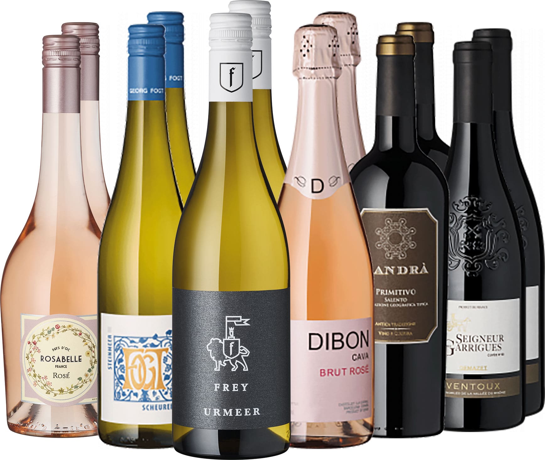 Weinpaket 12er Set | Jubiläumsweine